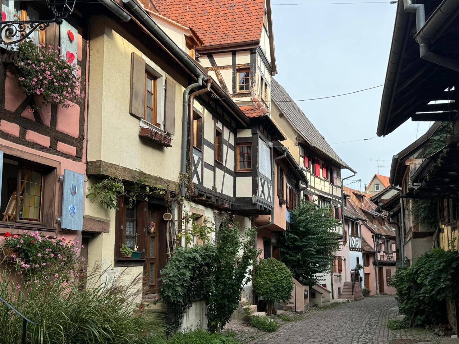 Les Trois Pierres Villa Eguisheim Ngoại thất bức ảnh
